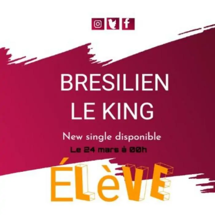 BRESILIEN-le-KING-ELEVE.webp