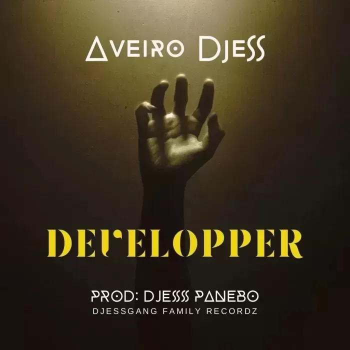 Aveiro-Djess-Developper.webp