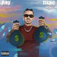 Tekno-Pay.webp