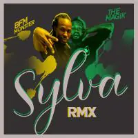 The-Magik-feat-BFM-Monster-Sylva-RMX.webp