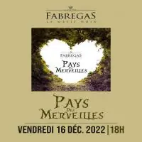 Fabregas-Le-Metis-Noir-Pays-Des-Merveilles.webp