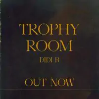 DiDi-B-Trophy-Room.webp