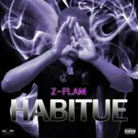 Z-flam-Habitue.webp