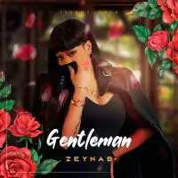 Zeynab-Gentleman.webp
