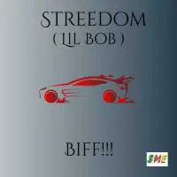 Streedom-Biff-By-Phasal-le-nuisible.webp
