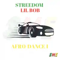 Streedom-Afro-Dance.webp